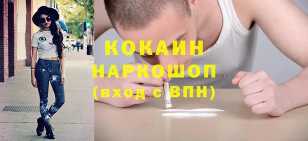 ГАЛЛЮЦИНОГЕННЫЕ ГРИБЫ Богданович