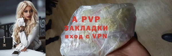 шишки Верея