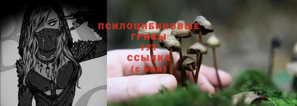 шишки Беломорск