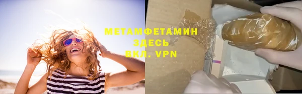 шишки Верея