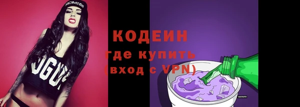 ГАЛЛЮЦИНОГЕННЫЕ ГРИБЫ Богданович