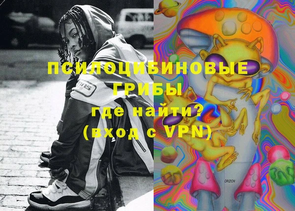 бошки Верхний Тагил