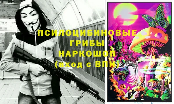 бошки Верхний Тагил