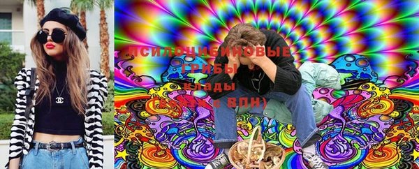 скорость Богородицк