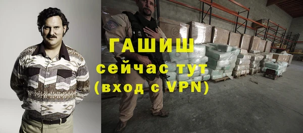 шишки Верея