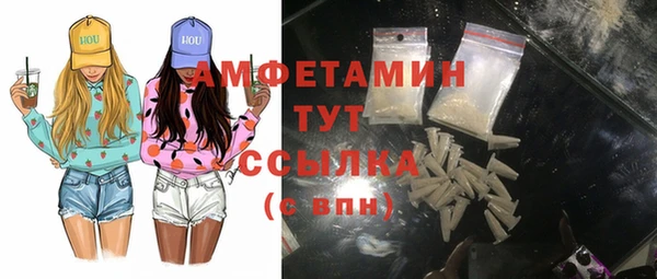 ГАЛЛЮЦИНОГЕННЫЕ ГРИБЫ Богданович