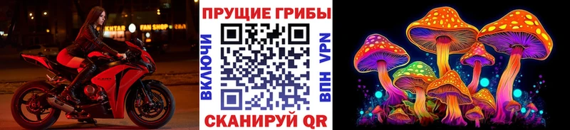 гидра маркетплейс  Весьегонск  Галлюциногенные грибы Psilocybe 
